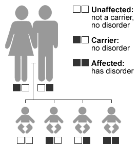 how common is it to be a carrier of a genetic disorder